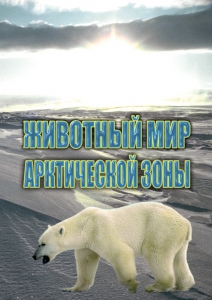 DVD "Животный мир Арктической зоны" - fgospostavki.ru - Щёлково