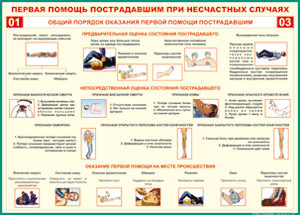 Таблица "Общий порядок оказания первой помощи пострадавшим" (100х140 сантиметров, винил) - fgospostavki.ru - Щёлково