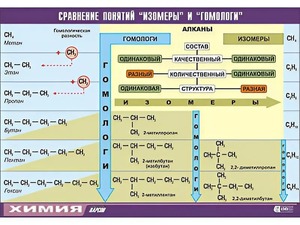 Таблица демонстрационная "Сравнение понятий изомер и гомолог" (винил 100x140) - fgospostavki.ru - Щёлково