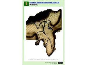 Рельефная таблица "Археоптерикс" (формат А1, матовое ламинирование) - fgospostavki.ru - Щёлково