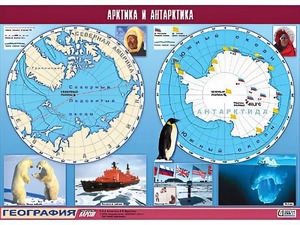 Таблица демонстрационная "Арктика и Антарктика" (винил 100*140) - fgospostavki.ru - Щёлково