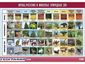 Таблица демонстрационная "Почвы, растения и животные природных зон" (винил 100*140) - fgospostavki.ru - Щёлково