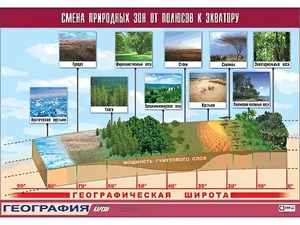 Таблица демонстрационная "Смена природных зон от полюсов к экватору" (винил 100*140) - fgospostavki.ru - Щёлково