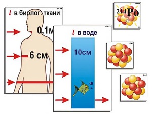Модель-аппликация "Явление радиоактивности" (ламинированная) - fgospostavki.ru - Щёлково