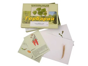 Гербарий "Культурные растения" (30 видов, с иллюстрациями) - fgospostavki.ru - Щёлково