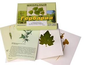 Гербарий "Систематика растений. Высшие споровые и семенные" (раздаточный) - fgospostavki.ru - Щёлково