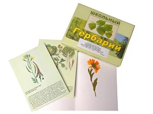 Гербарий "Систематика растений. Семейство Пасленовые. Крестоцветные. Сложноцветные" (раздаточный) - fgospostavki.ru - Щёлково