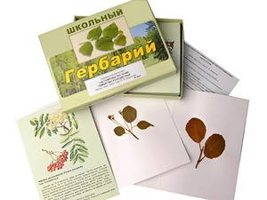 Гербарий "Систематика растений. Семейство Розоцветные" (раздаточный) - fgospostavki.ru - Щёлково