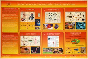 Электрифицированный стенд «Эпизоотология сельскохозяйственных животных» - fgospostavki.ru - Щёлково
