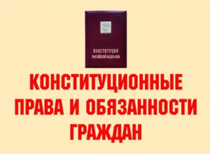 Комплект плакатов "Конституционные права и обязанности граждан" - fgospostavki.ru - Щёлково