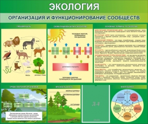 Стенд "Экология. Организация и функционирование сообществ" - fgospostavki.ru - Щёлково