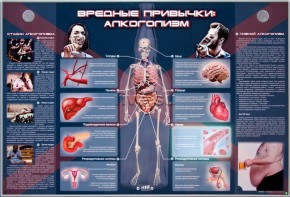 Электрифицированный стенд "Вредные привычки: алкоголизм" - fgospostavki.ru - Щёлково