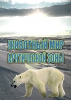 DVD "Животный мир Арктической зоны" - fgospostavki.ru - Щёлково