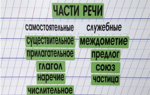 Набор магнитных карточек "Части речи" (фон зелёный) - fgospostavki.ru - Щёлково