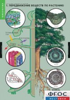 Комплект таблиц. Биология. Растение – живой организм. - fgospostavki.ru - Щёлково
