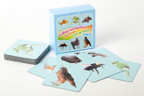 Набор магнитных карточек "Устный счет" (фон голубой) - fgospostavki.ru - Щёлково