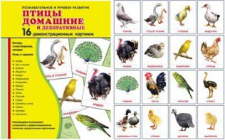 Демонстрационные карточки "Птицы домашние и декоративные" - fgospostavki.ru - Щёлково