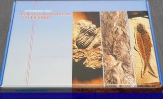 Коллекция "Палеонтологическая" (16 образцов) - fgospostavki.ru - Щёлково