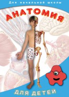 DVD "Анатомия для детей" - fgospostavki.ru - Щёлково