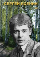 DVD "Сергей Есенин" - fgospostavki.ru - Щёлково