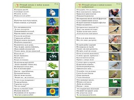 Комплект карточек (10) "Обучающий калейдоскоп. Природа" - fgospostavki.ru - Щёлково