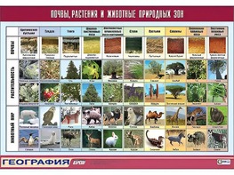 Таблица демонстрационная "Почвы, растения и животные природных зон" (винил 70*100) - fgospostavki.ru - Щёлково