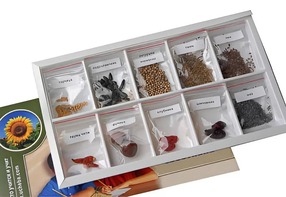 Коллекция "Плоды сельскохозяйственных растений" - fgospostavki.ru - Щёлково