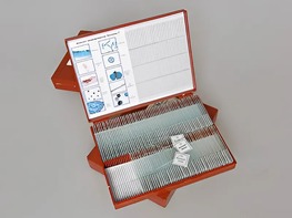 Комплект микропрепаратов "Ботаника 2" - fgospostavki.ru - Щёлково