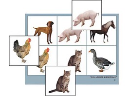 Логопедическое лото "Домашние животные" (4 планшета, 24 карточки, цветное, ламинированное) - fgospostavki.ru - Щёлково