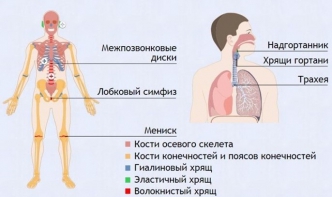 Интерактивные курсы. Биология 9 класс. Базовый. - fgospostavki.ru - Щёлково