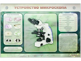 Электрифицированный стенд "Устройство микроскопа и правила работы c ним" - fgospostavki.ru - Щёлково