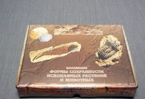 Коллекция "Формы сохранности ископаемых растений и животных" - fgospostavki.ru - Щёлково