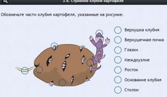 Интерактивные курсы. Биология 6 класс. Расширенный - fgospostavki.ru - Щёлково