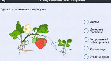 Интерактивные курсы. Биология 7 класс. Расширенный. - fgospostavki.ru - Щёлково
