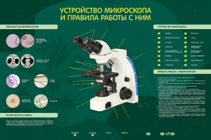 Электрифицированный стенд "Устройство микроскопа и правила работы c ним" - fgospostavki.ru - Щёлково