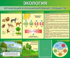Стенд "Экология. Организация и функционирование сообществ" - fgospostavki.ru - Щёлково