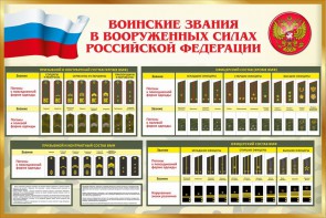 Стенд "Воинские звания в вооруженных силах РФ" - fgospostavki.ru - Щёлково