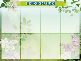 Стенд "Информация" Вариант 13 - fgospostavki.ru - Щёлково