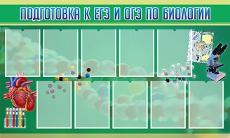 Стенд "Подготовка к ЕГЭ и ОГЭ по биологии" Вариант 2 - fgospostavki.ru - Щёлково